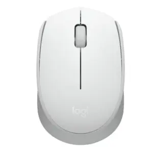 XvPOf L 300x300